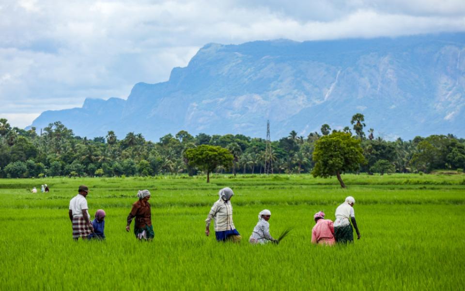 Post-COVID, States refocusing on their rural employment schemes